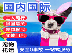 天府机场快递国际宠物托运 【国